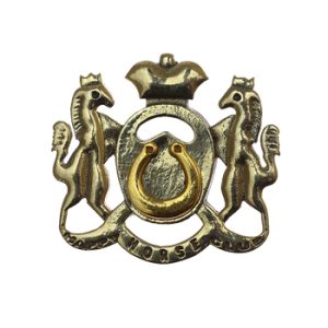 Лацканный знак