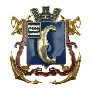 Лацканный знак