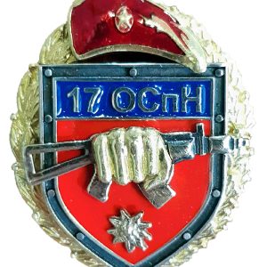 Нагрудный знак 17 ОСпН